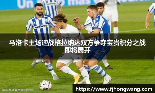 星空·综合体育官方网站